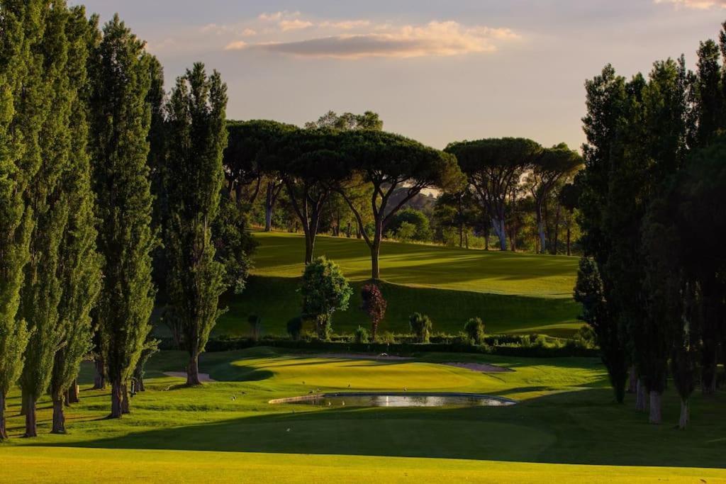 Luxury Rooftop Appia Antica Appartamento Roma